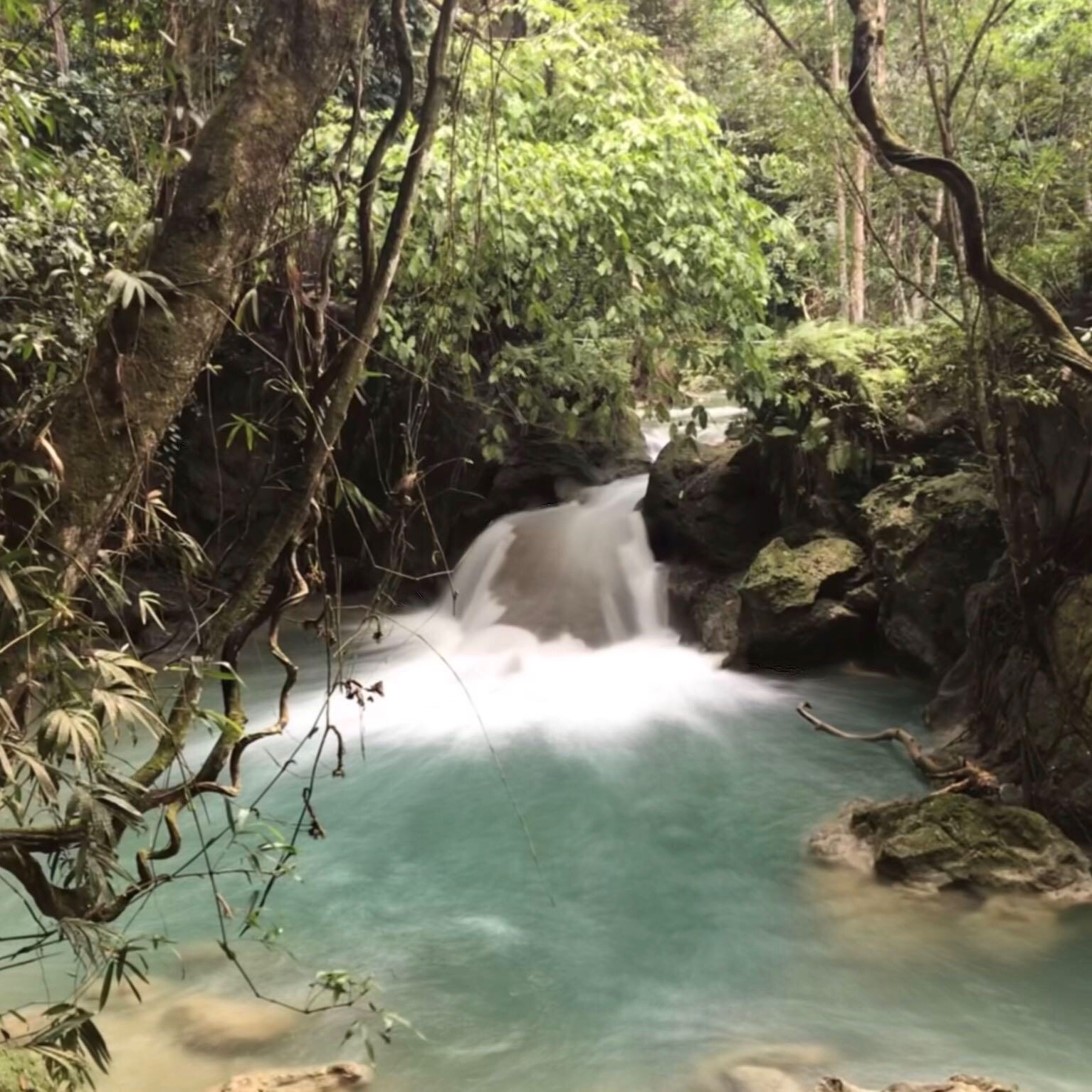Kawasan Falls, Cebu | Canyoneering Adventure